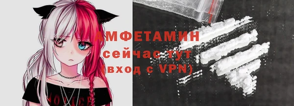 индика Дмитровск