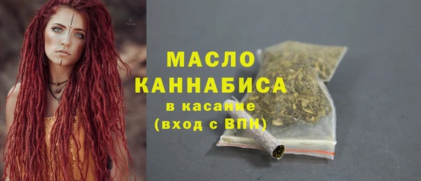 индика Дмитровск