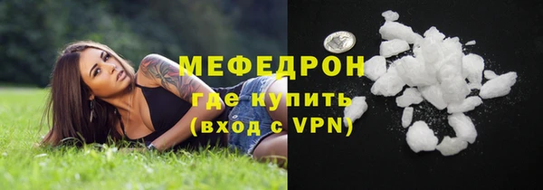 индика Дмитровск