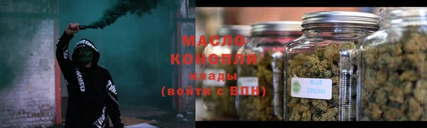 индика Дмитровск