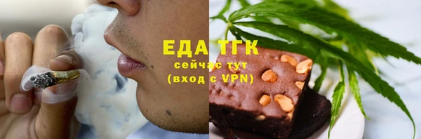индика Дмитровск