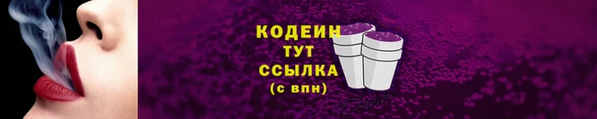 индика Дмитровск