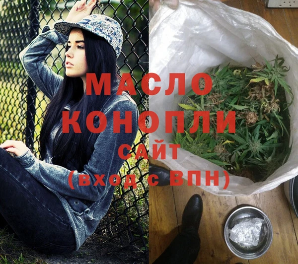 индика Дмитровск