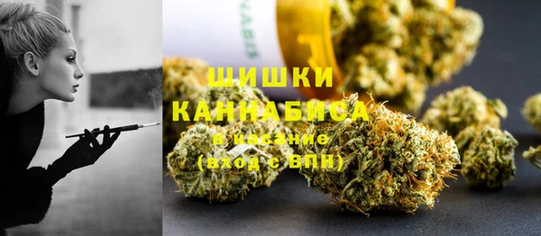 дурь Дмитриев