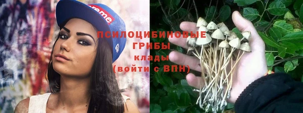 скорость Дмитров