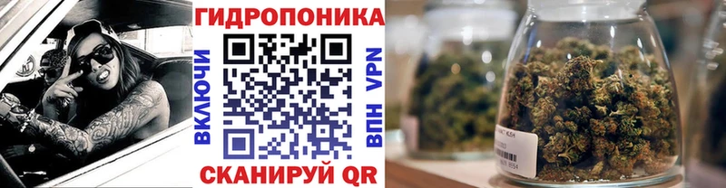 где найти наркотики  Петухово  hydra зеркало  Бошки Шишки Amnesia 